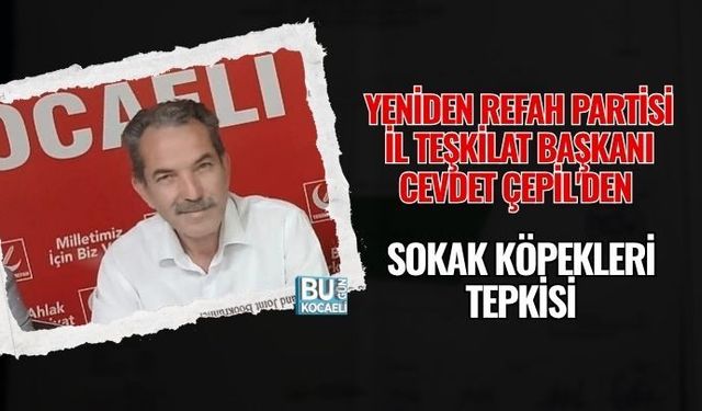 YENİDEN REFAH PARTİSİ İL TEŞKİLAT BAŞKANI CEVDET ÇEPİL'DEN SOKAK KÖPEKLERİ TEPKİSİ