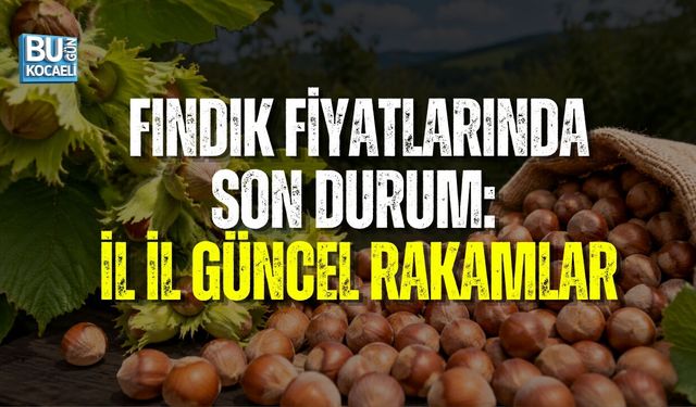 FINDIK FİYATLARINDA SON DURUM: İL İL GÜNCEL RAKAMLAR