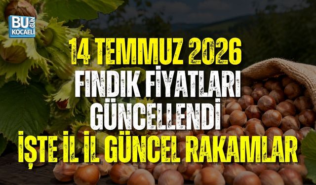 14 TEMMUZ 2026 İL İL GÜNCEL FINDIK FİYATLARI: KOCAELİ, KANDIRA, KARASU VE SAKARYA’DA FINDIK KAÇ TL?