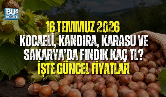 16 TEMMUZ 2026 FINDIK FİYATLARI: KOCAELİ, KANDIRA, KARASU VE SAKARYA’DA FİYATLAR DÜŞTÜ