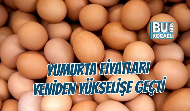 YUMURTA FİYATLARI YENİDEN YÜKSELİŞE GEÇTİ: DUBLE 3,10 LİRA OLDU