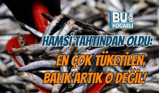 HAMSİ TAHTINDAN OLDU: EN ÇOK TÜKETİLEN BALIK ARTIK O DEĞİL!