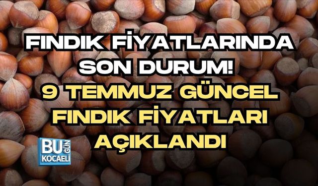 FINDIK FİYATLARINDA SON DURUM! 9 TEMMUZ GÜNCEL FINDIK FİYATLARI AÇIKLANDI