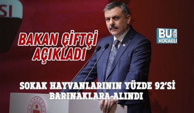 BAKAN ÇİFTÇİ AÇIKLADI: SOKAK HAYVANLARININ YÜZDE 92’Sİ BARINAKLARA ALINDI