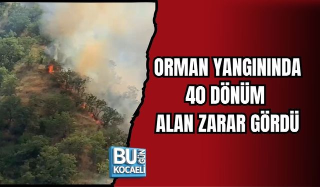 ORMAN YANGININDA 40 DÖNÜM ALAN ZARAR GÖRDÜ