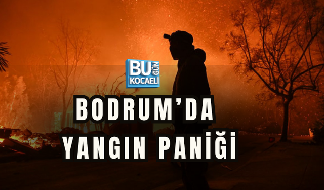 MUĞLA-BODRUM YOLUNDA YANGIN PANİĞİ! YOĞUN DUMAN ULAŞIMI ETKİLEDİ