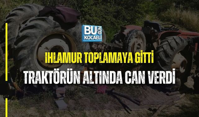 IHLAMUR TOPLAMAYA GİTTİ, TRAKTÖRÜN ALTINDA CAN VERDİ