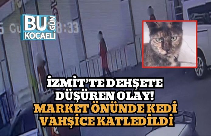 İzmit’te Dehşete Düşüren Olay! Market Önünde Kedi Vahşice Katledildi