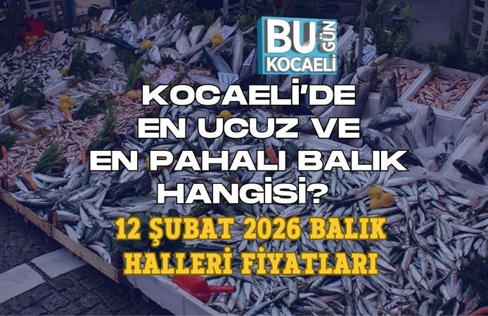 KOCAELİ’DE EN UCUZ VE EN PAHALI BALIK HANGİSİ? 12 ŞUBAT 2026 BALIK HALLERİ FİYATLARI