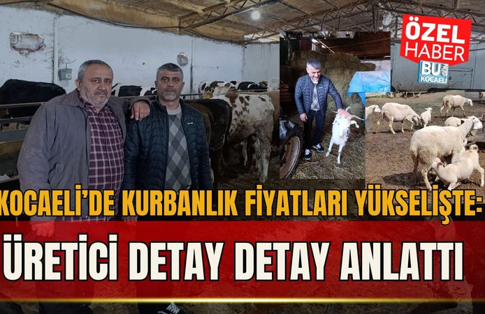 KOCAELİ’DE KURBANLIK FİYATLARI YÜKSELİŞTE: ÜRETİCİ DETAY DETAY ANLATTI