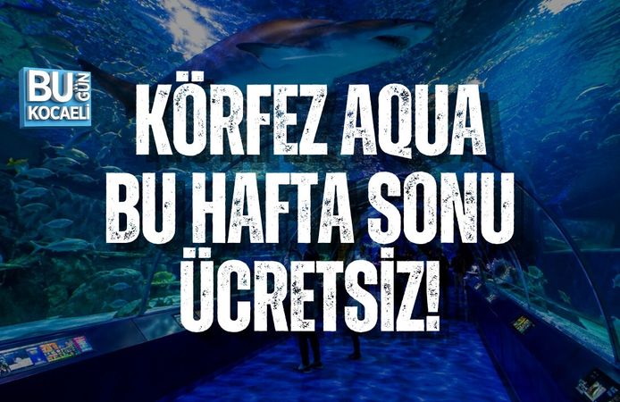 KÖRFEZ AQUA BU HAFTA SONU ÜCRETSİZ!