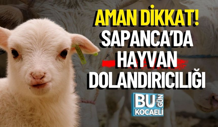 Aman Dikkat! Sapanca’da Hayvan Dolandırıcılığı