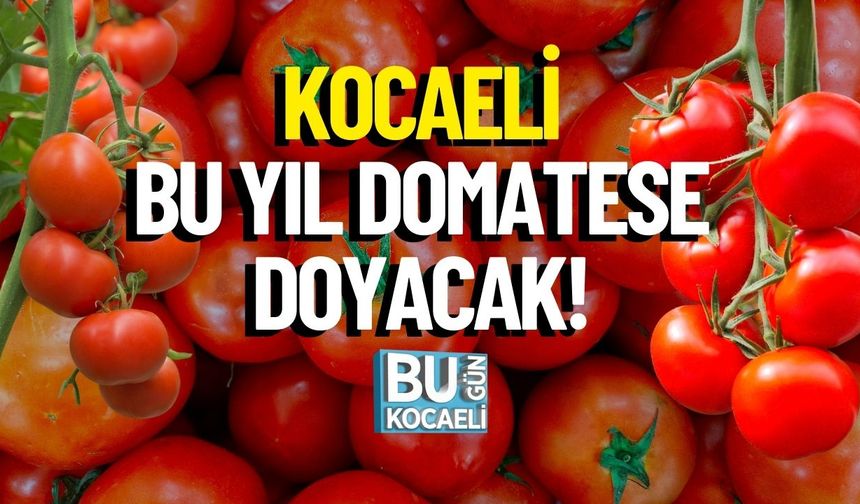 Kocaeli Bu Yıl Domatese Doyacak!