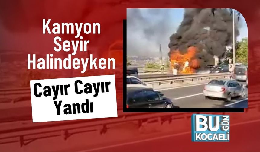 Kamyon Seyir Halindeyken Cayır Cayır Yandı