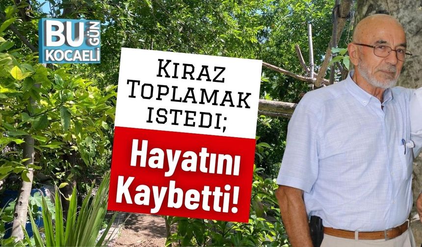 Kiraz Toplamak istedi; Hayatını Kaybetti!