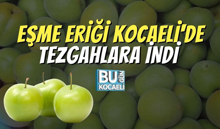 Eşme Eriği Kocaeli'de Tezgahlara İndi