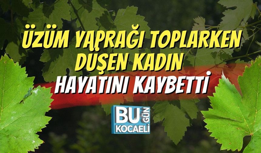 Üzüm Yaprağı Toplarken Düşen Kadın Hayatını Kaybetti