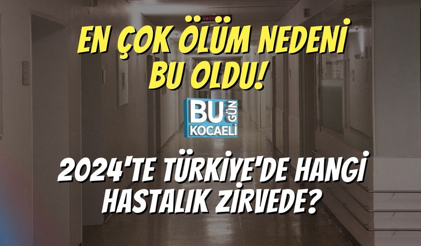 En Çok Ölüm Nedeni Bu Oldu! 2024'te Türkiye'de Hangi Hastalık Zirvede?