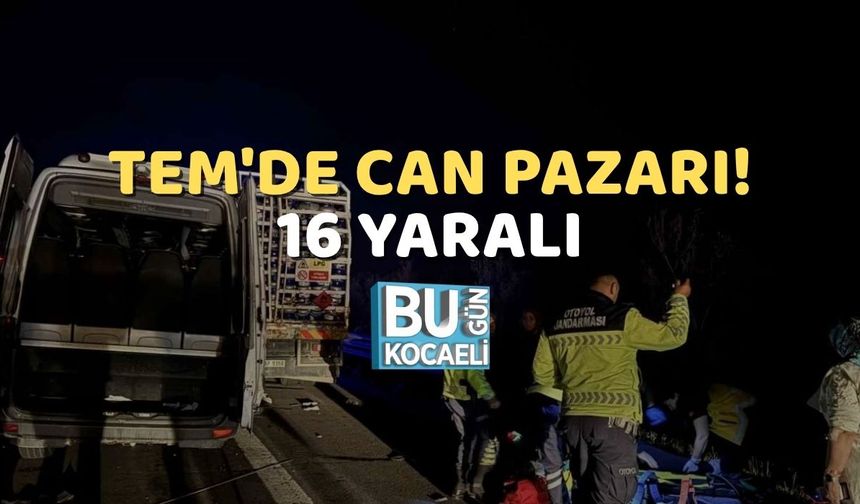 TEM'de Can Pazarı! 16 Yaralı