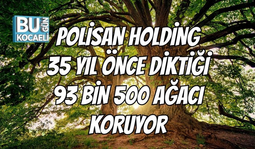 Polisan Holding 35 Yıl Önce Diktiği 93 Bin 500 Ağacı Koruyor