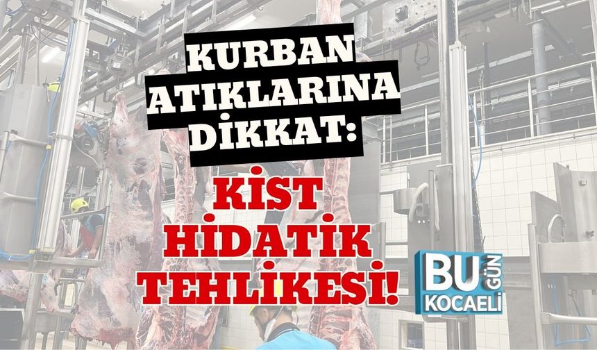 Kurban Atıklarına Dikkat: Kist Hidatik Tehlikesi!