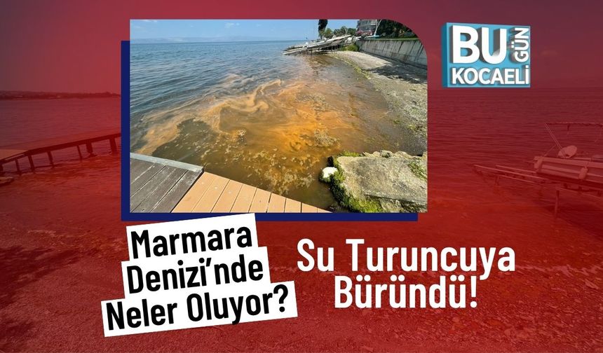 Marmara Denizi’nde Neler Oluyor? Su Turuncuya Büründü!