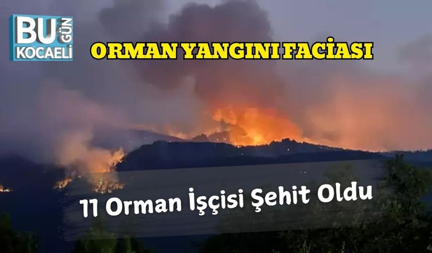 Orman Yangını Faciası: 11 Orman İşçisi Şehit Oldu