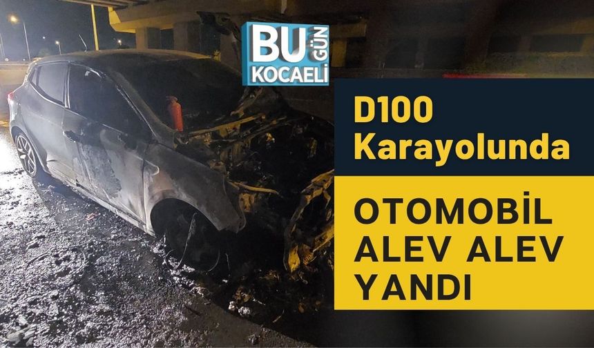 D100 Karayolunda Otomobil Alev Alev Yandı