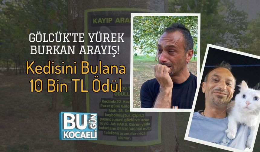 Gölcük'te Yürek Burkan Arayış! Bulana 10 Bin TL Ödül