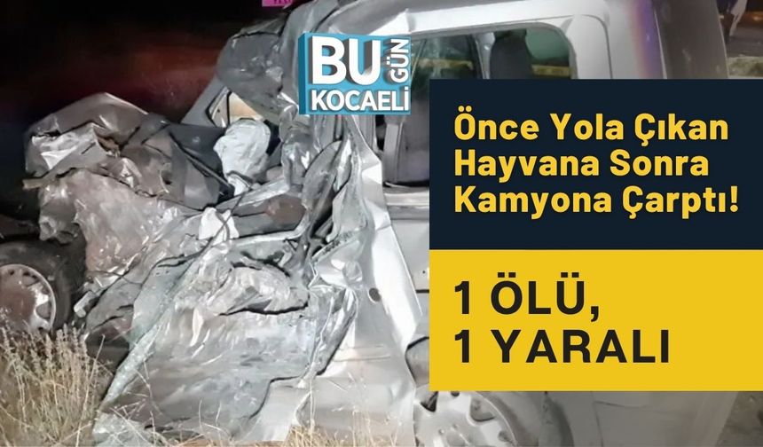 Önce Yola Çıkan Hayvana Sonra Kamyona Çarptı! 1 Ölü, 1 Yaralı