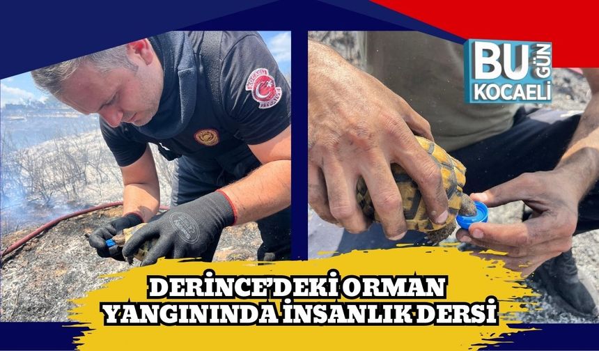 Derince’deki Orman Yangınında İnsanlık Dersi
