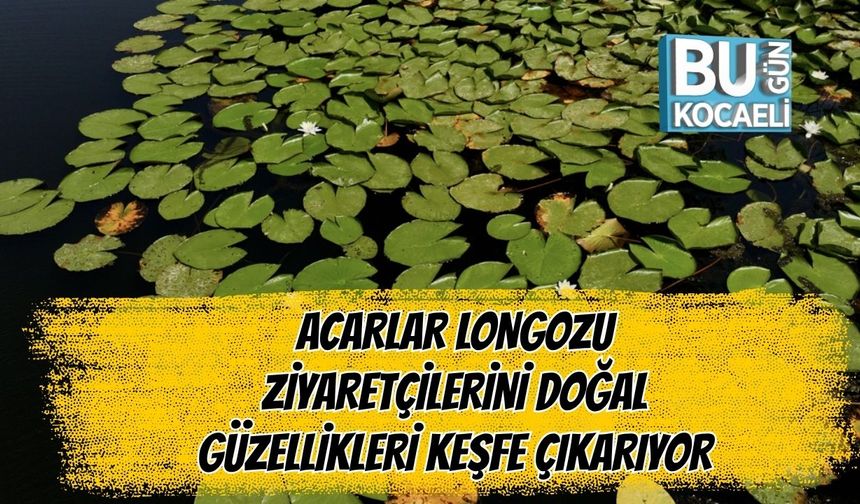 Acarlar Longozu Ziyaretçilerini Doğal Güzellikleri Keşfe Çıkarıyor