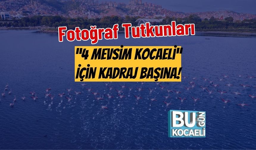 Fotoğraf Tutkunları “4 Mevsim Kocaeli” İçin Kadraj Başına!