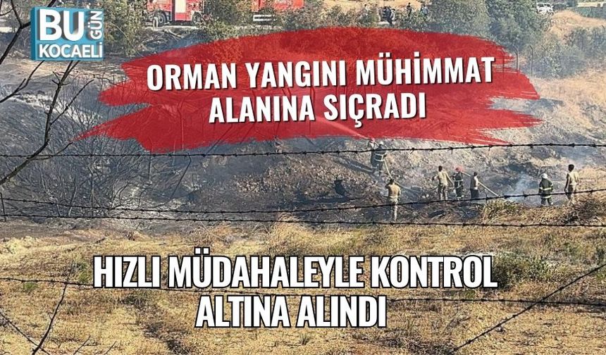 Orman Yangını Mühimmat Alanına Sıçradı, Hızlı Müdahaleyle Kontrol Altına Alındı