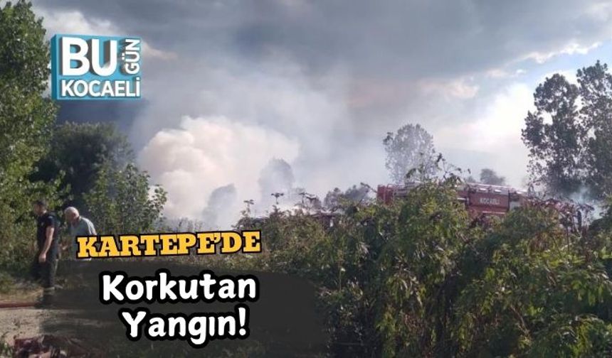 Kartepe’de Korkutan Yangın!