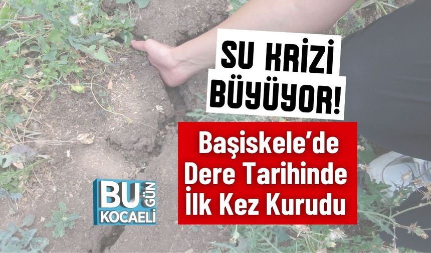 Su Krizi Büyüyor! Başiskele’de Dere Tarihinde İlk Kez Kurudu