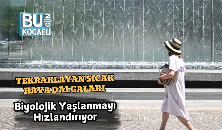 Tekrarlayan Sıcak Hava Dalgaları Biyolojik Yaşlanmayı Hızlandırıyor