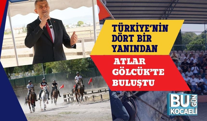 Türkiye’nin Dört Bir Yanından Atlar Gölcük’te Buluştu