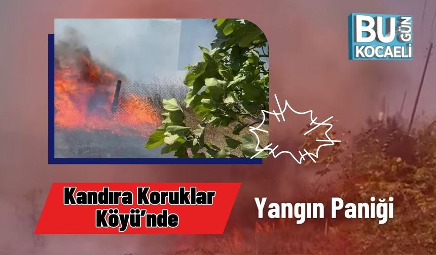 Kandıra Koruklar Köyü’nde Yangın Başladı