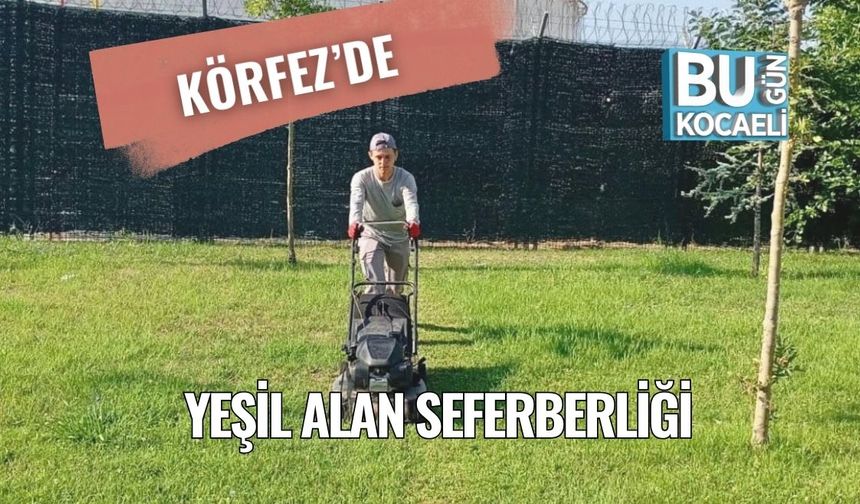 Körfez’de Yeşil Alan Seferberliği