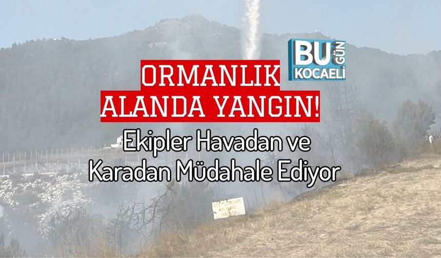 Ormanlık Alanda Yangın! Ekipler Havadan ve Karadan Müdahale Ediyor