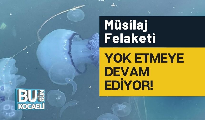 Müsilaj Felaketi Yok Etmeye Devam Ediyor!
