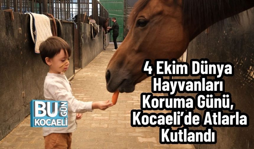 4 Ekim Dünya Hayvanları Koruma Günü, Kocaeli’de Atlarla Kutlandı