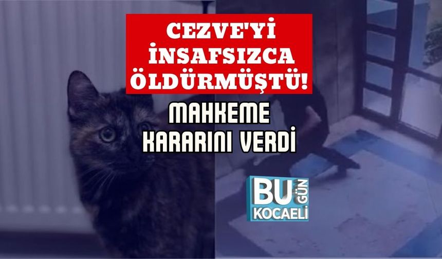 Cezve'yi İnsafsızca Öldürmüştü! Mahkeme Kararını Verdi