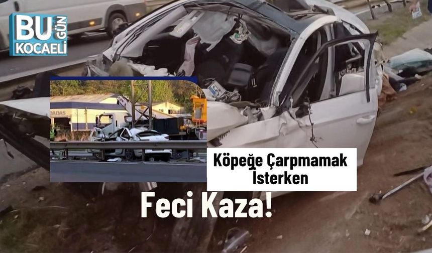 Köpeğe Çarpmamak İsterken Feci Kaza!