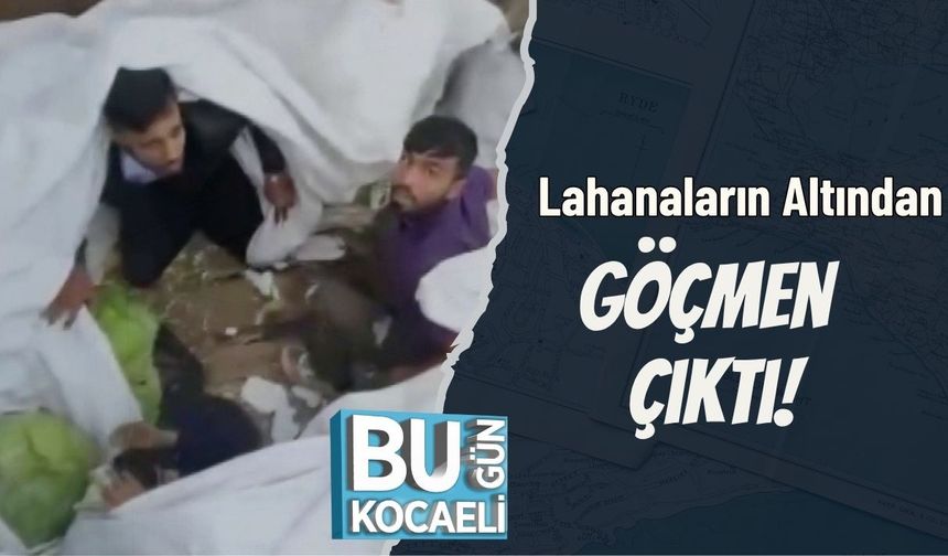 Lahanaların Altından Göçmen Çıktı!