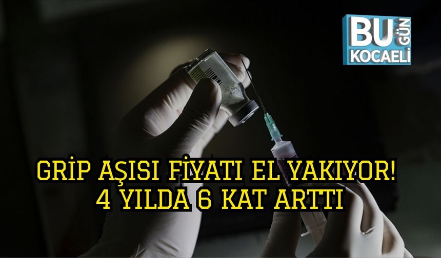 Grip Aşısı Fiyatı El Yakıyor! 4 Yılda 6 Kat Arttı