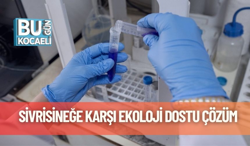 Sivrisineğe Karşı Ekoloji Dostu Çözüm