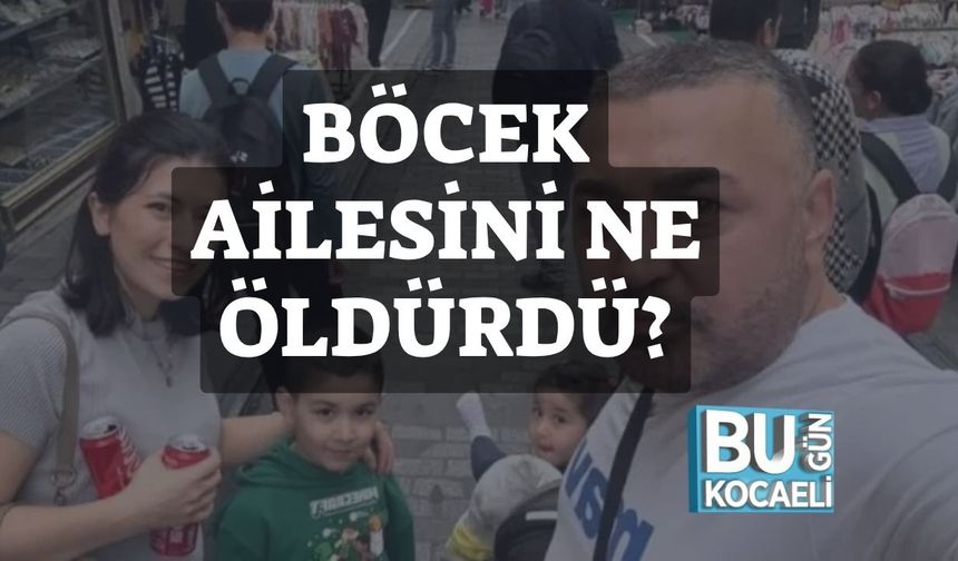 Böcek Ailesini Ne Öldürdü?
