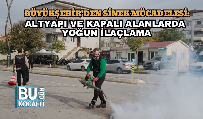 Büyükşehir’den Sinek Mücadelesi: Altyapı ve Kapalı Alanlarda Yoğun İlaçlama